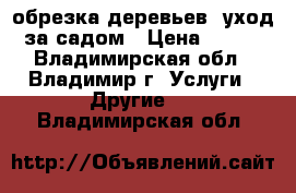 обрезка деревьев, уход за садом › Цена ­ 100 - Владимирская обл., Владимир г. Услуги » Другие   . Владимирская обл.